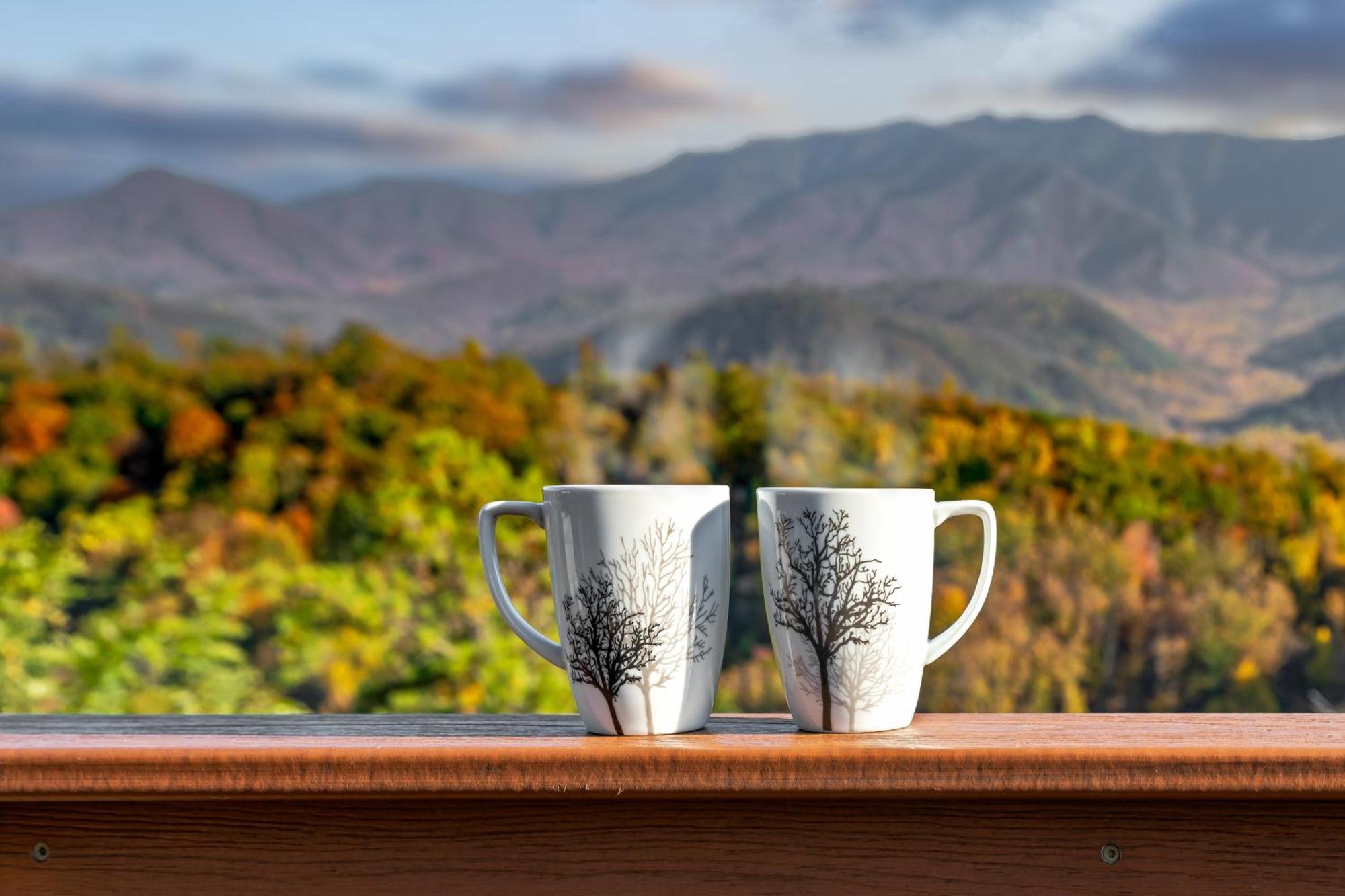 3 Bears Chalet Гетлинбург Екстериор снимка